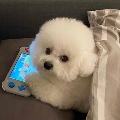 杀人者的购物中心路透生图