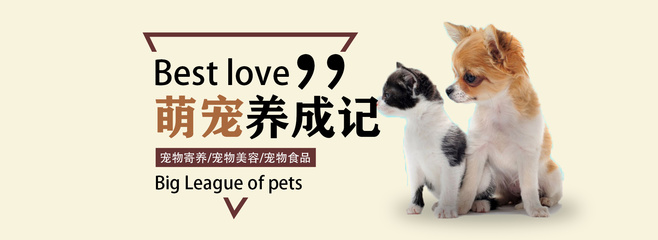 小红书和逆水寒大结局